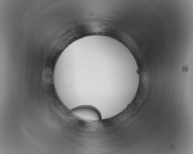 X0000113130421200909251244