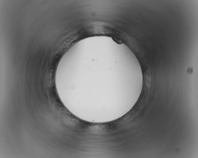 X0000113130422200909251244