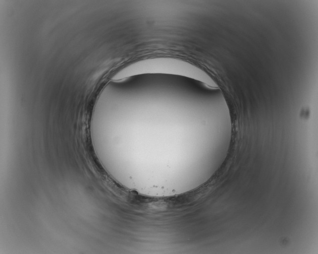 X0000113130423200909251244