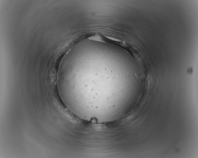 X0000113130424200909251244