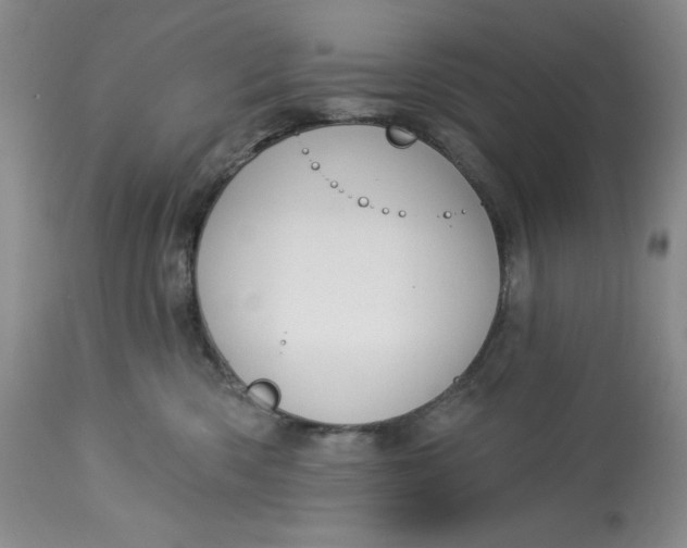 X0000113130426200909251244