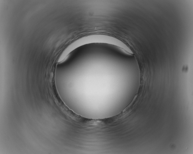 X0000113130427200909251244