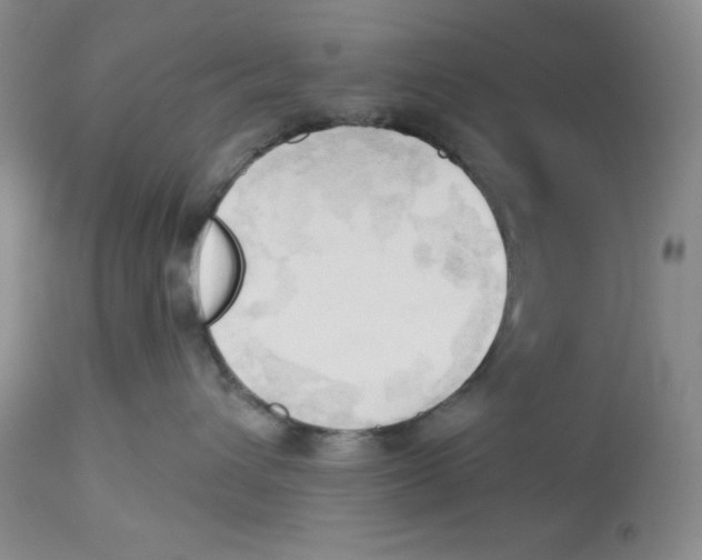 X0000113130432200909251244