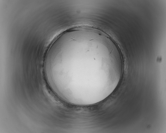 X0000113130434200909251243