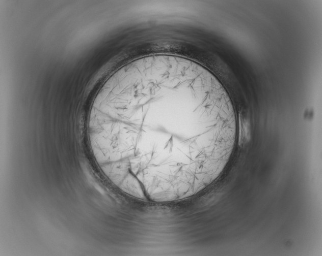 X0000113130435200909251243