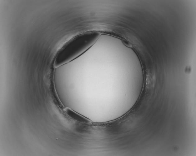 X0000113130436200909251243