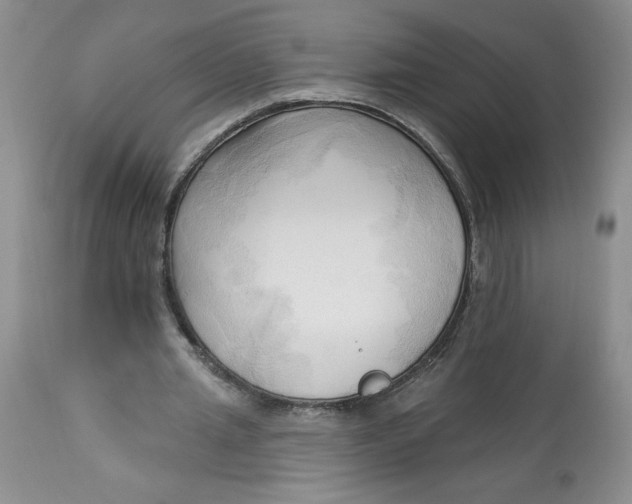 X0000113130437200909251243