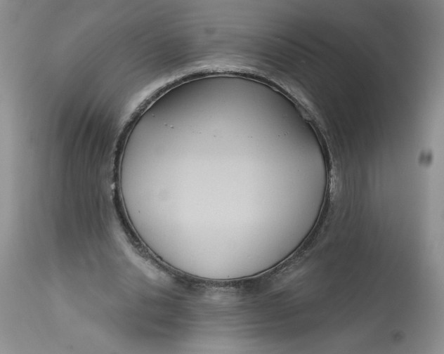 X0000113130438200909251243