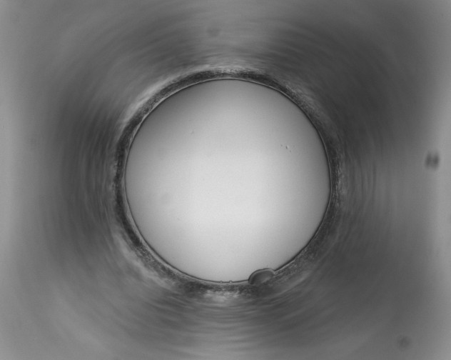 X0000113130440200909251243