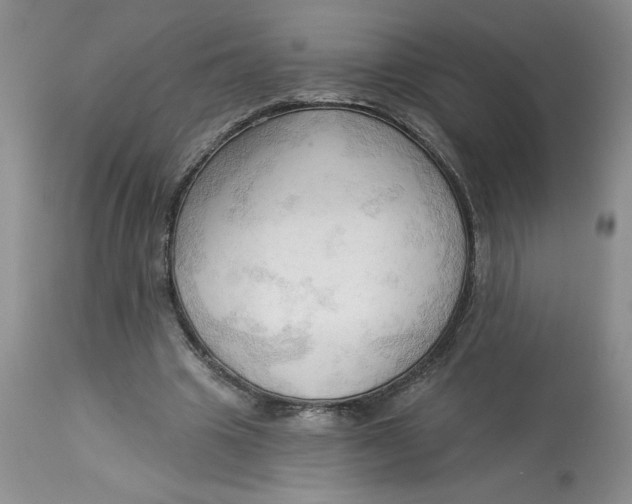 X0000113130441200909251243