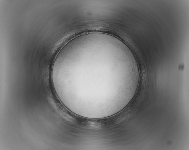 X0000113130442200909251243