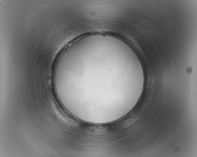 X0000113130443200909251243