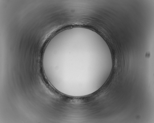 X0000113130444200909251243