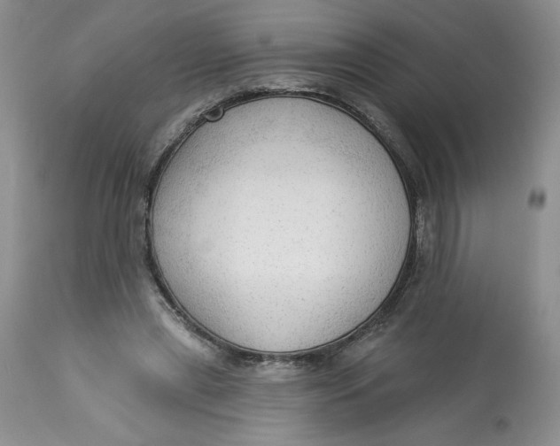 X0000113130445200909251243