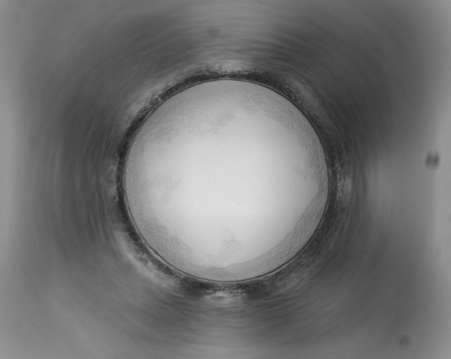 X0000113130447200909251243