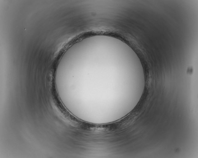 X0000113130448200909251244