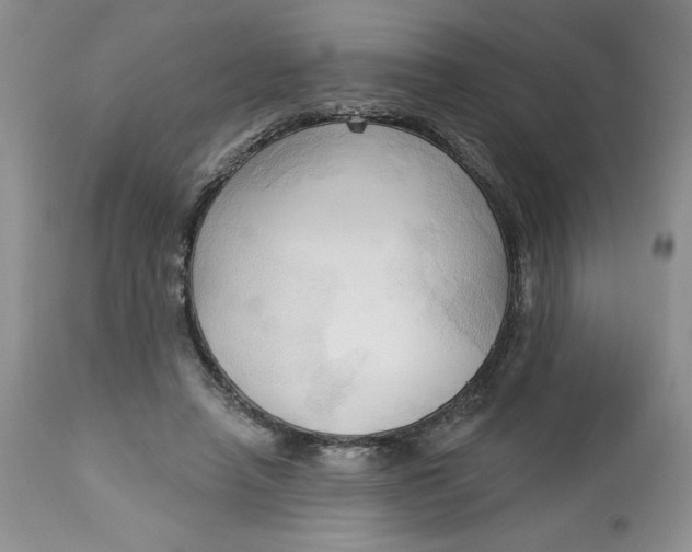 X0000113130450200909251244