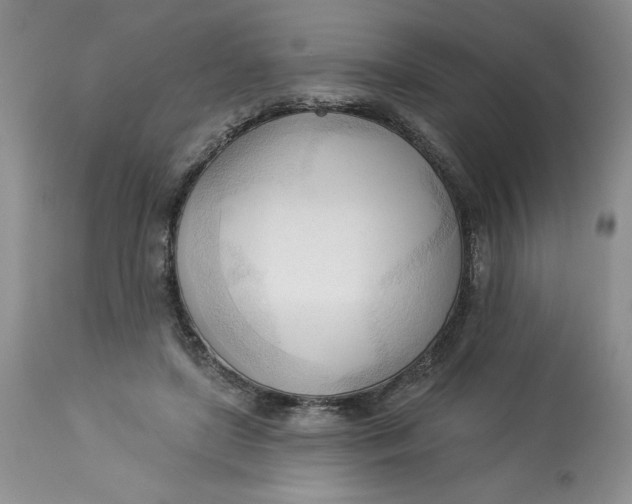 X0000113130451200909251244