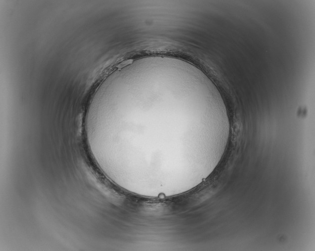 X0000113130454200909251244