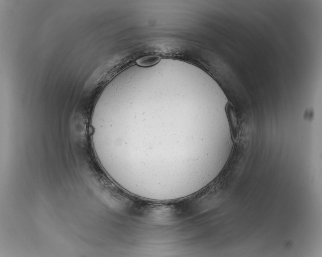 X0000113130456200909251244