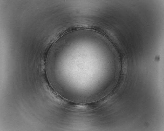 X0000113130457200909251244