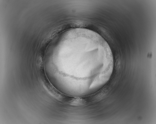 X0000113130459200909251244