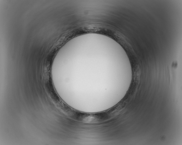 X0000113130460200909251244