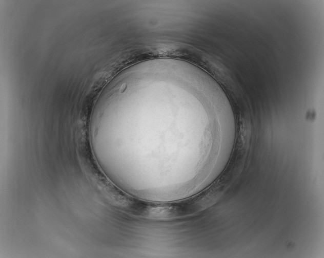 X0000113130461200909251244