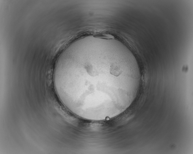 X0000113130462200909251244