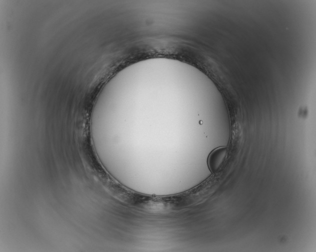 X0000113130464200909251244