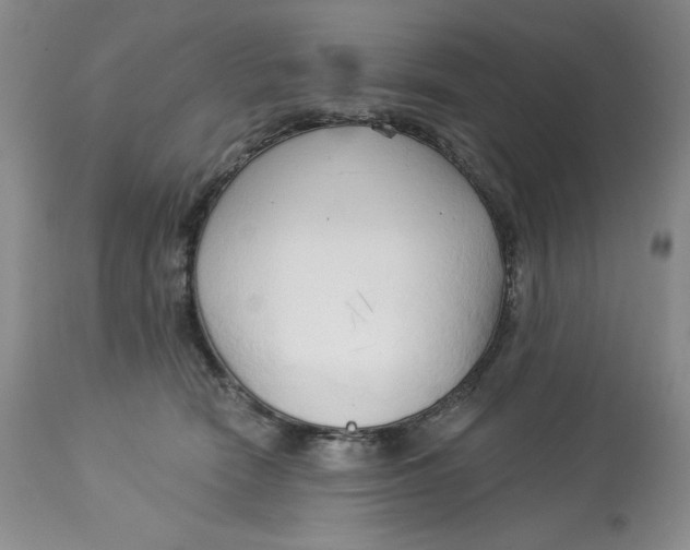 X0000113130466200909251244