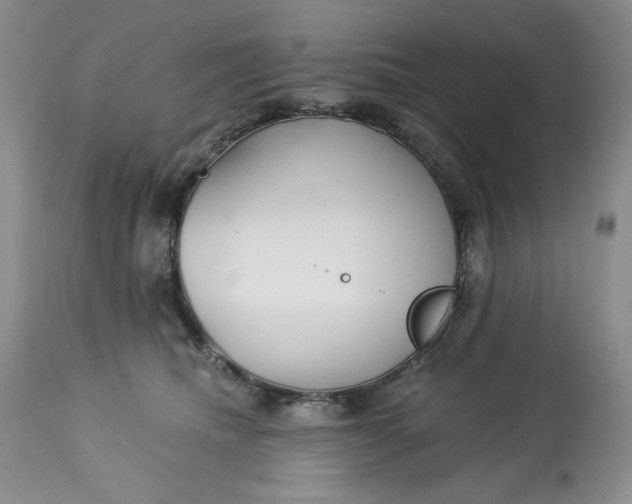 X0000113130468200909251244