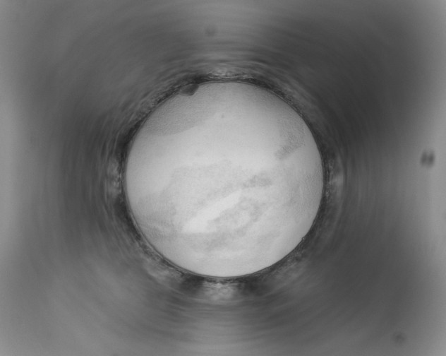 X0000113130469200909251244