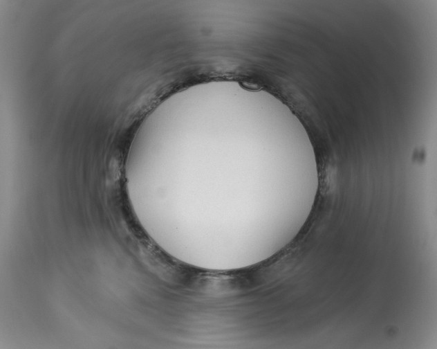 X0000113130472200909251244