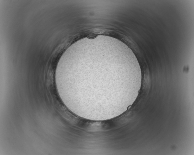 X0000113130473200909251244