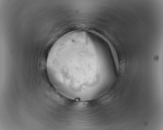 X0000113130474200909251244