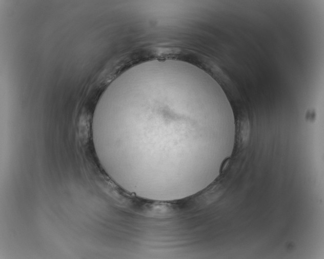 X0000113130475200909251244