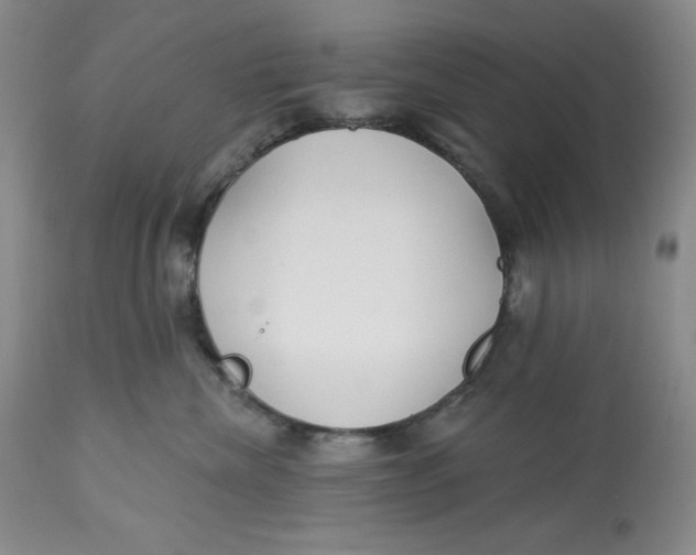 X0000113130476200909251244