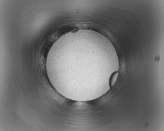 X0000113130477200909251244