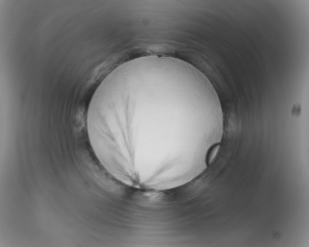 X0000113130478200909251244