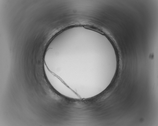 X0000113130481200909251243