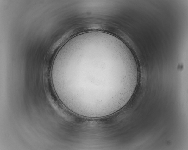 X0000113130482200909251243