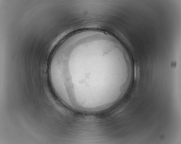 X0000113130483200909251243