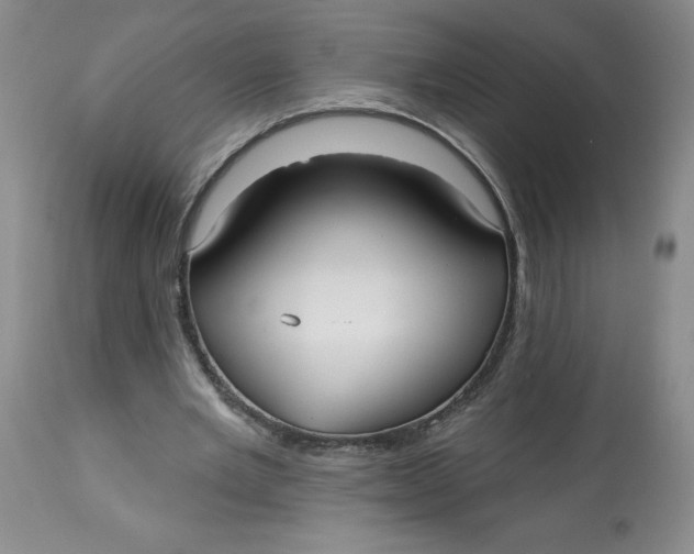 X0000113130485200909251243