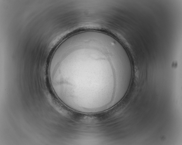 X0000113130487200909251243