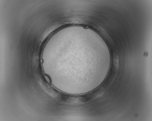 X0000113130488200909251243