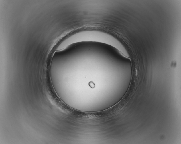 X0000113130492200909251243