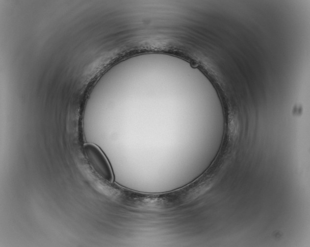 X0000113130493200909251243