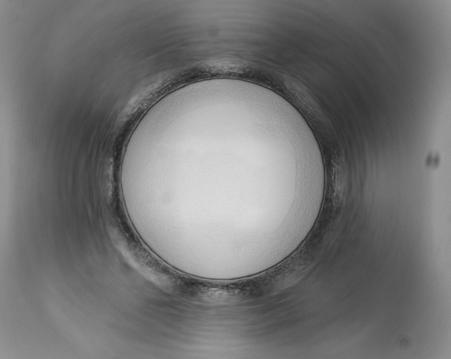 X0000113130494200909251243