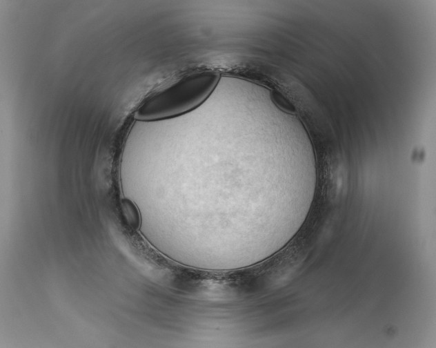 X0000113130496200909251243